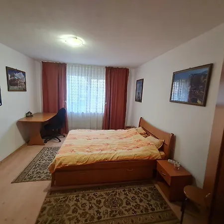 Timisoara * Timişoara