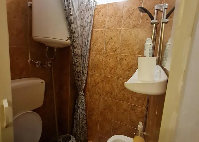 Lägenhet Timisoara *